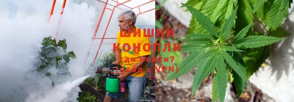 молекула духа Костерёво