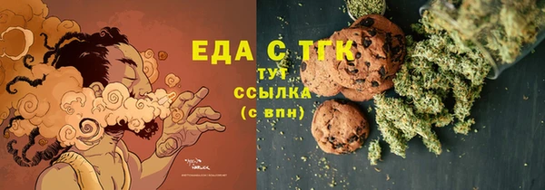 mdpv Краснослободск