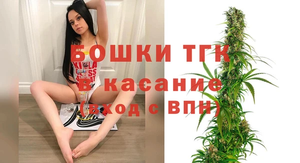mdpv Краснослободск