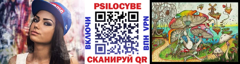 Псилоцибиновые грибы Psilocybine cubensis Купить Кыштым
